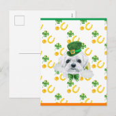 Maltezer Shamrock St. Patricks Dag Feestdagenkaart (Voorkant / Achterkant)