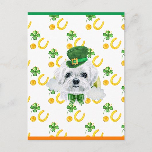 Maltezer Shamrock St. Patricks Dag Feestdagenkaart (Voorkant)