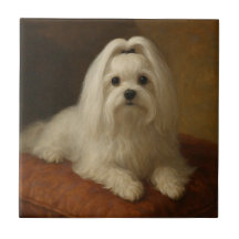 Maltezer