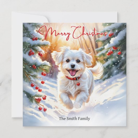 Maltezer Terriër Hond In Winter Sneeuw Prettig Ker Feestdagenkaart (Voorkant)