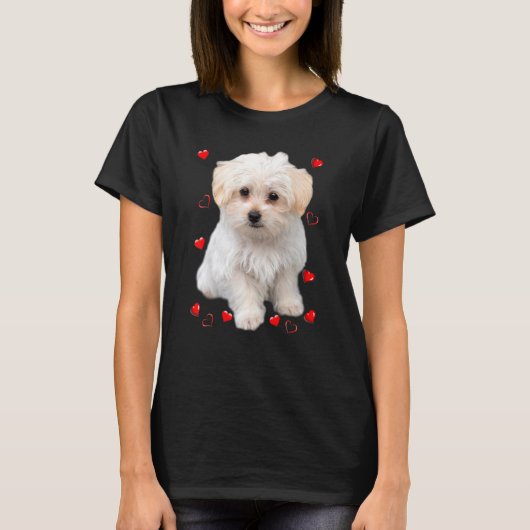 Maltezer Welpen Hartjes T-shirt (Voorkant)