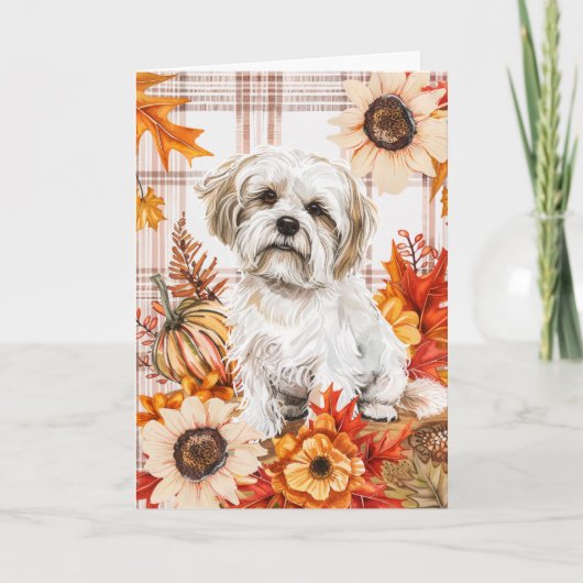 Malti Tzu Hond Herfst Dankzegingsdag Kaart (Voorkant)