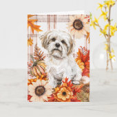 Malti Tzu Hond Herfst Dankzegingsdag Kaart (Gele Bloem)