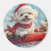 Malti Tzu Hond in Sledge Laat het Sneeuw Kerstmis Magneet (Voorkant)