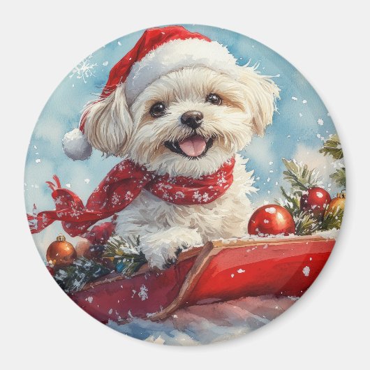 Malti Tzu Hond in Sledge Laat het Sneeuw Kerstmis Magneet (Voorkant)