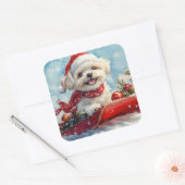 Malti Tzu Hond in Sledge Laat het Sneeuw Kerstmis Vierkante Sticker (Envelop)