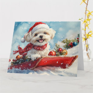 Malti Tzu Hond in slee Let it Snow Kerstmis Kaart