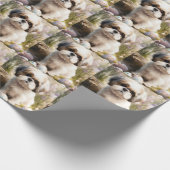 Malti Tzu Hond met Paaseieren Vakantie Cadeaupapier (Hoek)