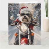 Malti Tzu Hond Rijden Motorfiets Kerstmis Kaart (Voorkant)