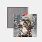 Malti Tzu Hond Rijden Motorfiets Kerstmis Magneet (Voorkant / Achterkant)