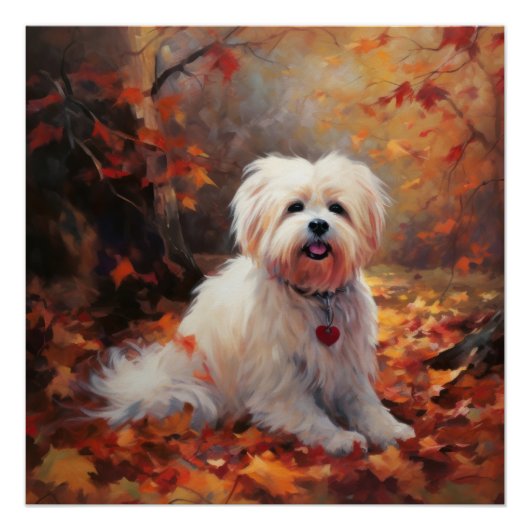 Malti Tzu in de herfst laat Herfst inspireren Perfect Poster (Voorkant)