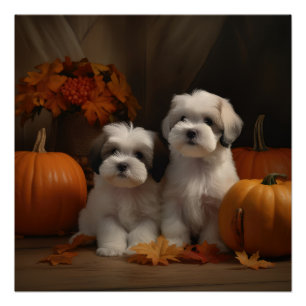 Malti tzu Puppy Herfst Plezier Pompoen Perfect Poster