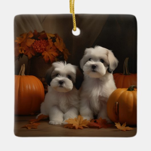 Malti tzu Puppy Herfst Verrukking Pompoen Keramisch Ornament (Voorkant)