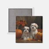 Malti tzu Puppy Herfst Verrukking Pompoen Magneet (Voorkant / Achterkant)