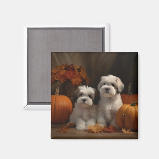 Malti tzu Puppy Herfst Verrukking Pompoen Magneet (Voorkant / Achterkant)