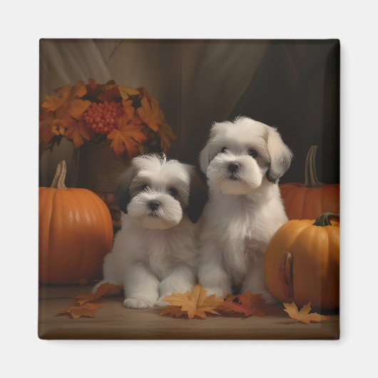 Malti tzu Puppy Herfst Verrukking Pompoen Magneet (Voorkant)