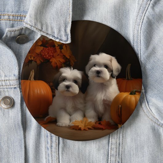 Malti tzu Puppy Herfst Verrukking Pompoen Ronde Button 6,0 Cm (In situ)