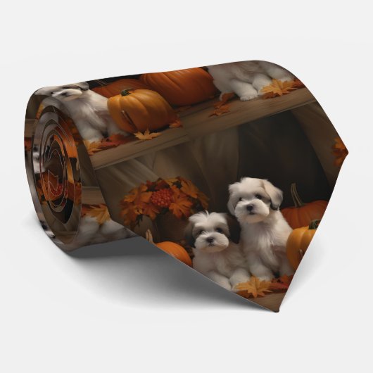 Malti tzu Puppy Herfst Verrukking Pompoen Stropdas (Opgerold)