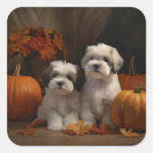 Malti tzu Puppy Herfst Verrukking Pompoen Vierkante Sticker (Voorkant)