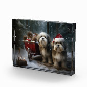 Malti tzu Sneeuwslee Kerstdecoratie Fotoblokken (Rechts)