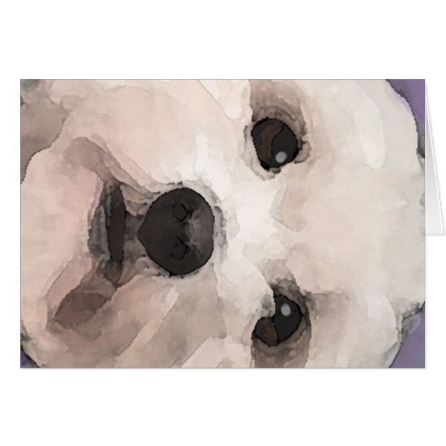 Maltipoo (Voorkant Horizontaal)