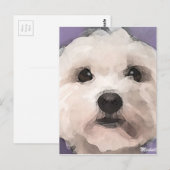 Maltipoo Briefkaart (Voorkant / Achterkant)