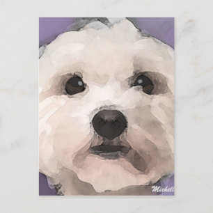 Maltipoo Briefkaart