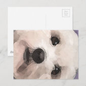 Maltipoo Briefkaart (Voorkant / Achterkant)