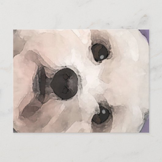 Maltipoo Briefkaart (Voorkant)