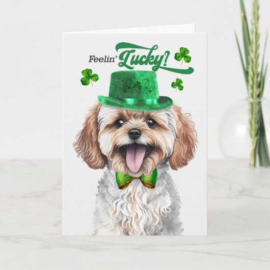 Maltipoo Dog Feelin' Lucky St Patrick's Day Feestdagen Kaart (Voorkant)