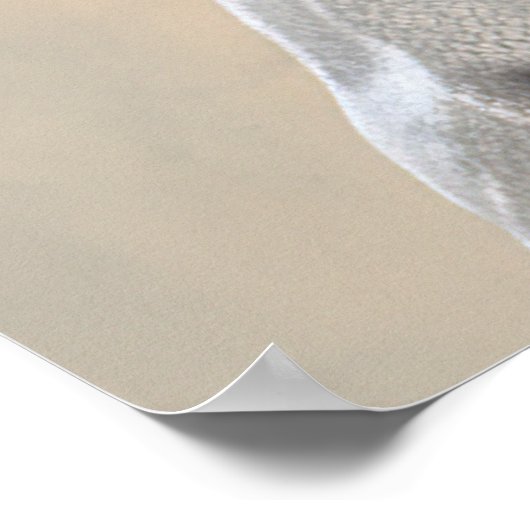 Maltipoo Hipster Dog Poster (Hoek)