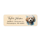 Maltipoo-hond retouradreslabel etiket (Voorkant)