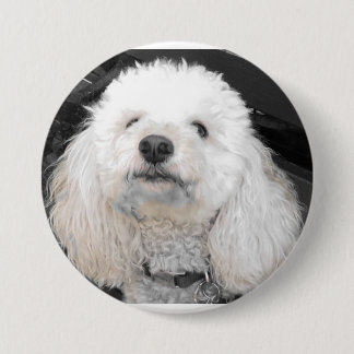 MaltiPoo-hondenknoppen Ronde Button 7,6 Cm