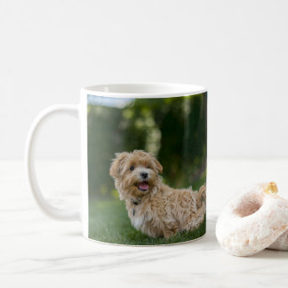 Maltipoo Koffiemok
