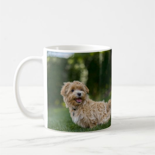Maltipoo Koffiemok (Links)