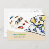 Maltipoo Mixed Breed New Puppy Social Briefkaart (Voorkant / Achterkant)