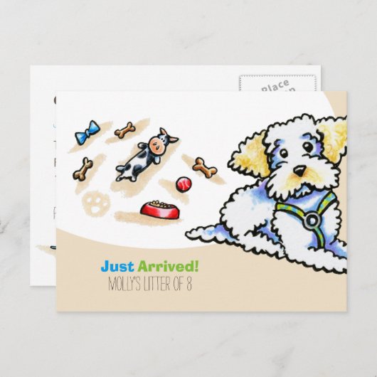 Maltipoo Mixed Breed New Puppy Social Briefkaart (Voorkant / Achterkant)