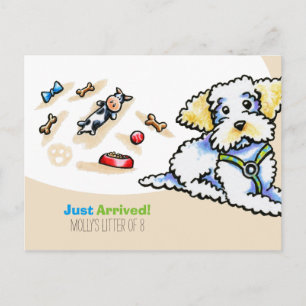 Maltipoo Mixed Breed New Puppy Social Briefkaart