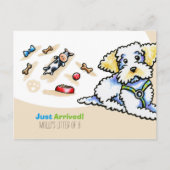 Maltipoo Mixed Breed New Puppy Social Briefkaart (Voorkant)