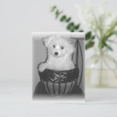 MaltiPoo Producten Briefkaart (Staand voorkant)