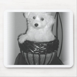 MaltiPoo Producten Muismat