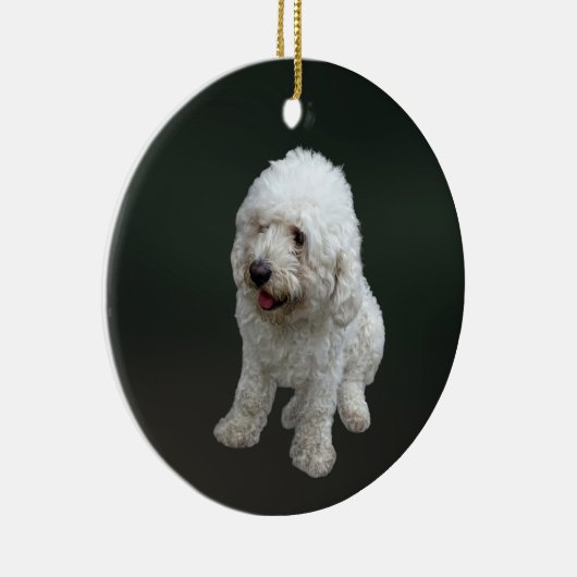 Maltipoo Puppy Keramisch Ornament (Rechts)