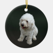 Maltipoo Puppy Keramisch Ornament (Voorkant)