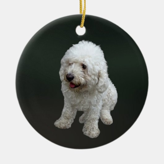 Maltipoo Puppy Keramisch Ornament (Voorkant)