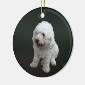 Maltipoo Puppy Keramisch Ornament (Links)