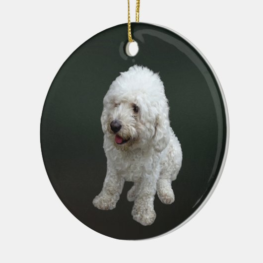 Maltipoo Puppy Keramisch Ornament (Links)