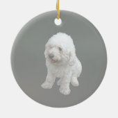 Maltipoo Puppy Keramisch Ornament (Achterkant)