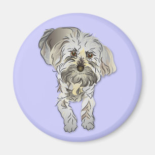 Maltipoo Puppy Magneet
