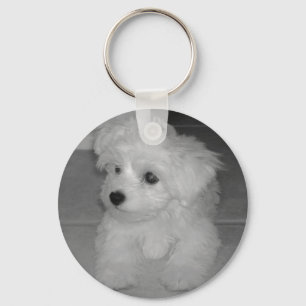 Maltipoo Sleutelhanger