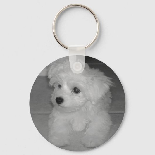 Maltipoo Sleutelhanger (Voorkant)